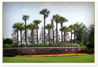 Harrison Ranch